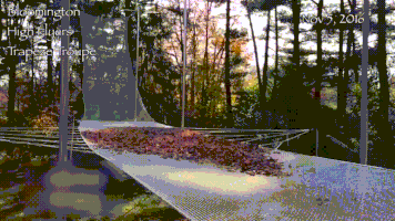 200.gif?cid=fc005b08796fe0778bd73c0ea655c6535e1dbda54e320b74&rid=200.gif&ct=g