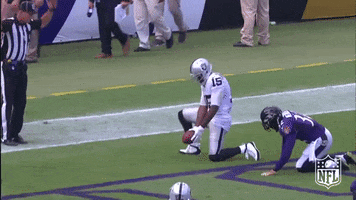 Keep It Clean Oakland Raiders GIF by NFL