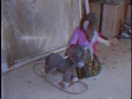 200.gif?cid=fc005b08ce70f378a72cad1ae0e8d1daaa85a277b81eb498&rid=200.gif&ct=g