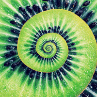 fruit spiral GIF by Feliks Tomasz Konczakowski