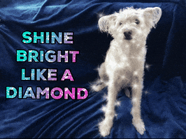 sparkle shine bright like a diamond GIF by chuber channel