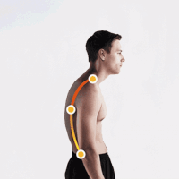 Best Posture Corrector Back Brace For Men Women GIFs - Find ...