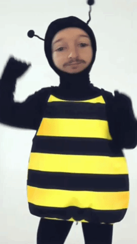 lordka rageux GIF