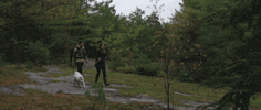 GIF by Andreism Design