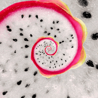 Dragon Fruit Gif By Feliks Tomasz Konczakowski Find Share On Giphy