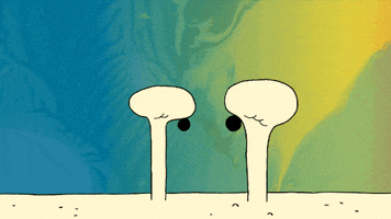music video animation GIF by Sub Pop Records