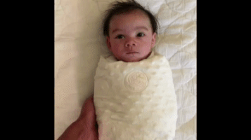lennartnilssonexpressense cute baby throws hands up GIF