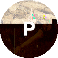 pauliquezada  Sticker