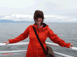 salmanezzammoury  GIF