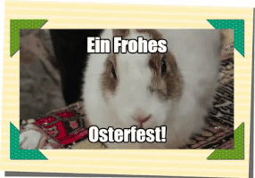 netzcoach  GIF