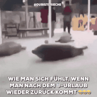 200.gif?cid=fc005b085e639eae031d6128072015101518b3228d74ce33&rid=200.gif&ct=g