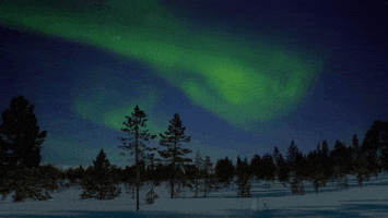 200.gif?cid=fc005b08e60eff46de30fd55e7c57beea8ef566fdbeb8730&rid=200.gif&ct=g