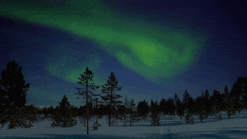 northern lights snow GIF by Living Stills