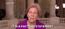 Political gif. Elizabeth Warren looks at us and says emphatically, "It is a factual statement." 