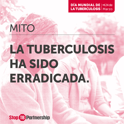 pautavera tuberculosis oim alto a la tuberculosis GIF