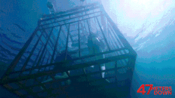 47MetersDown  GIF