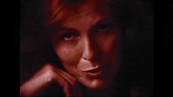 Smokey Bear Vintage GIF by HelpGood