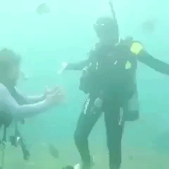 forevergulf egyptin 4fun GIF