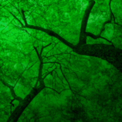 ambiente-y-sociedad  GIF