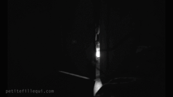 petitefillequi petitefillequi gaetansoucy simonlavoie marinejohnson GIF