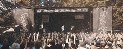 rock and roll show GIF by State Champs