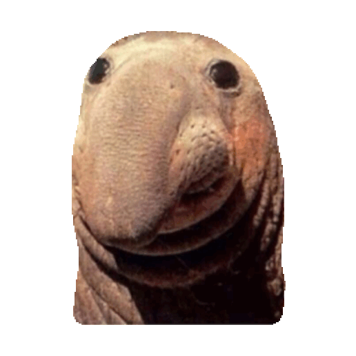 aaa Gif By Imoji For Ios Android Giphy