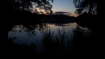 sunrise uf GIF by University of Florida