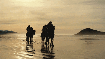 GIF by War for the Planet of the Apes