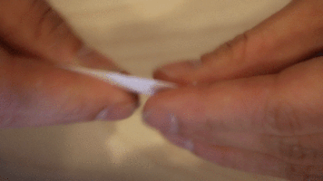 Zamnesia cannabis filter tip joint GIF