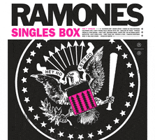 johnny ramone punk GIF by Ramones