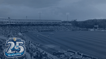 Baseball Strikeout GIF by West Michigan Whitecaps 