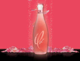 GIF by Carvon Media GmbH / Reklame-FX®