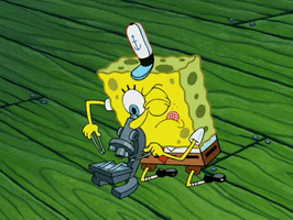 Episode 15 Microscope GIF by SpongeBob SquarePants