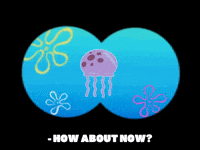 Blue Jellyfish Gifs Get The Best Gif On Giphy