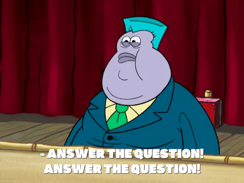 answer the questions