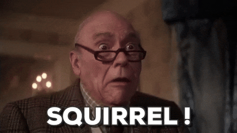 giphy.gif?cid=790b7611521adfc8ac92f3523a