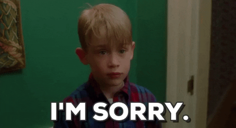 Giphy - Sorry Home Alone GIF by filmeditor