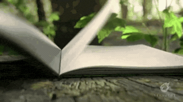 rita_celia  GIF