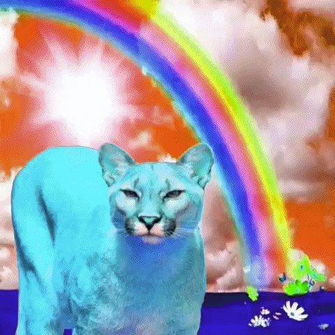 Cat Yes GIF by MUTANT MAGIC