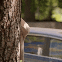 Spying The Cw GIF