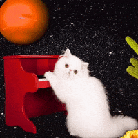 los angeles lol GIF by MUTANT MAGIC