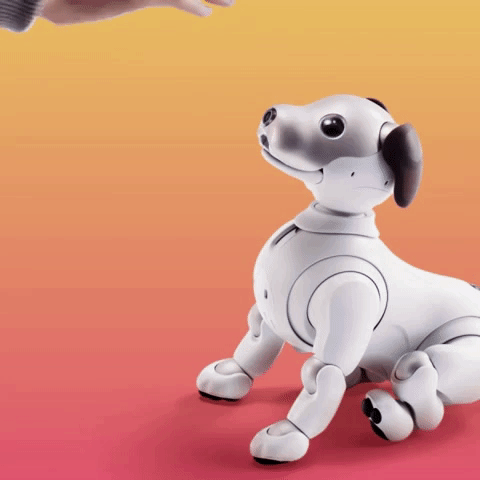 Ces 2018 Dog GIF