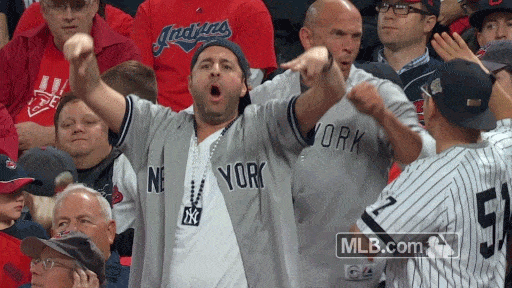 Giphy - new york yankees Yankee Fan GIF by MLB