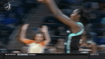 celebrate new york liberty GIF by WNBA