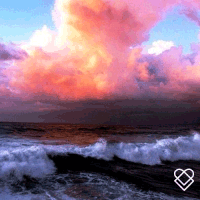 200.gif?cid=fc005b0896ca797a121429f4f764b91df8effeffcb984468&rid=200.gif&ct=g