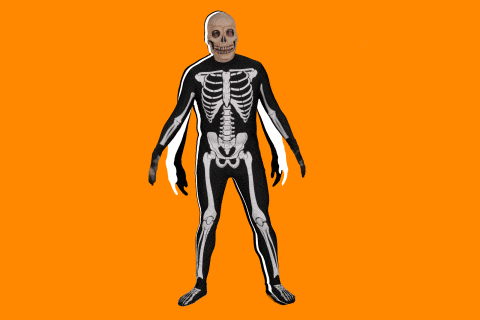 Omg So Much Skeleton GIFs - Get the best GIF on GIPHY