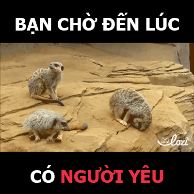 Lozi Singapore Co. GIF