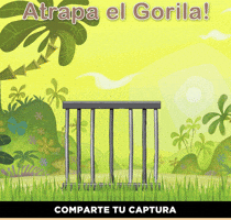 EsTuTV  GIF