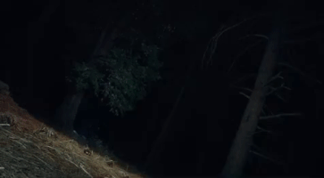 200.gif?cid=fc005b0833a2832d2249ae39f924847fb0914b9d582928e0&rid=200.gif&ct=g