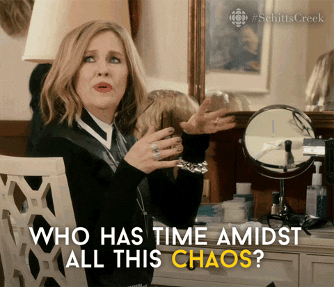 schitts creek comedy GIF by CBC